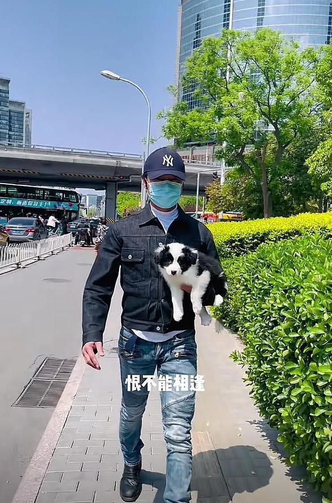 吴佳妮披露马景涛晕倒原因：谈新女友后健康每况愈下，拒见子女（组图） - 10