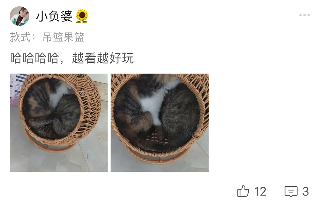 【宠物】果篮老板提醒“这不是猫窝哦”，网友不信偏要买，到手后差点笑晕...猫：喂我花生（组图） - 3
