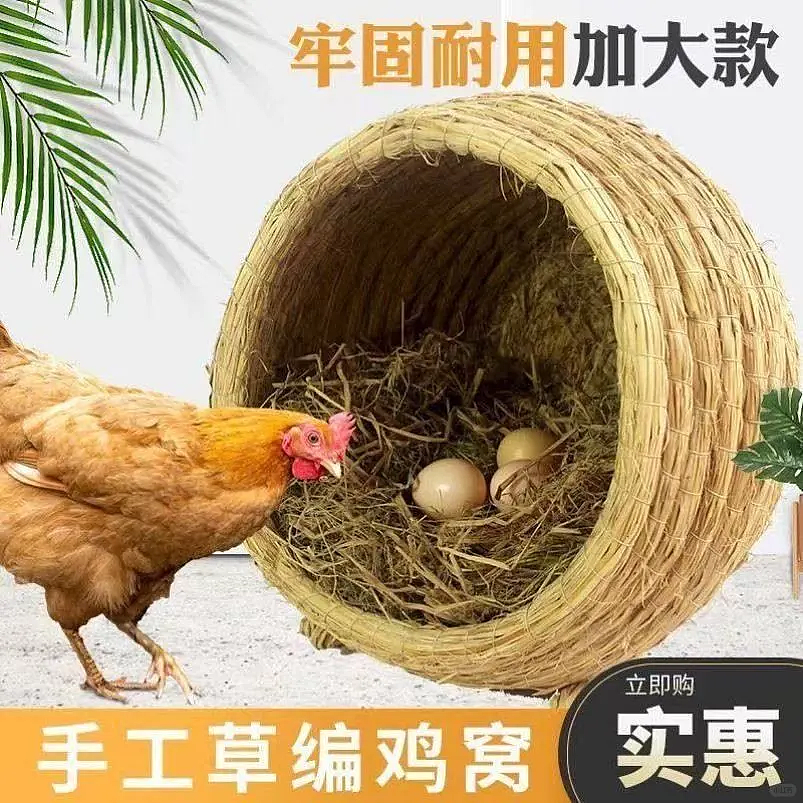 【宠物】果篮老板提醒“这不是猫窝哦”，网友不信偏要买，到手后差点笑晕...猫：喂我花生（组图） - 10