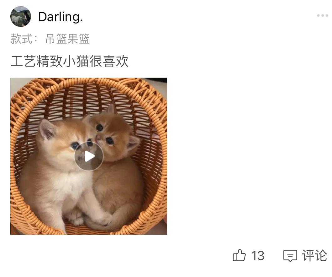 【宠物】果篮老板提醒“这不是猫窝哦”，网友不信偏要买，到手后差点笑晕...猫：喂我花生（组图） - 2