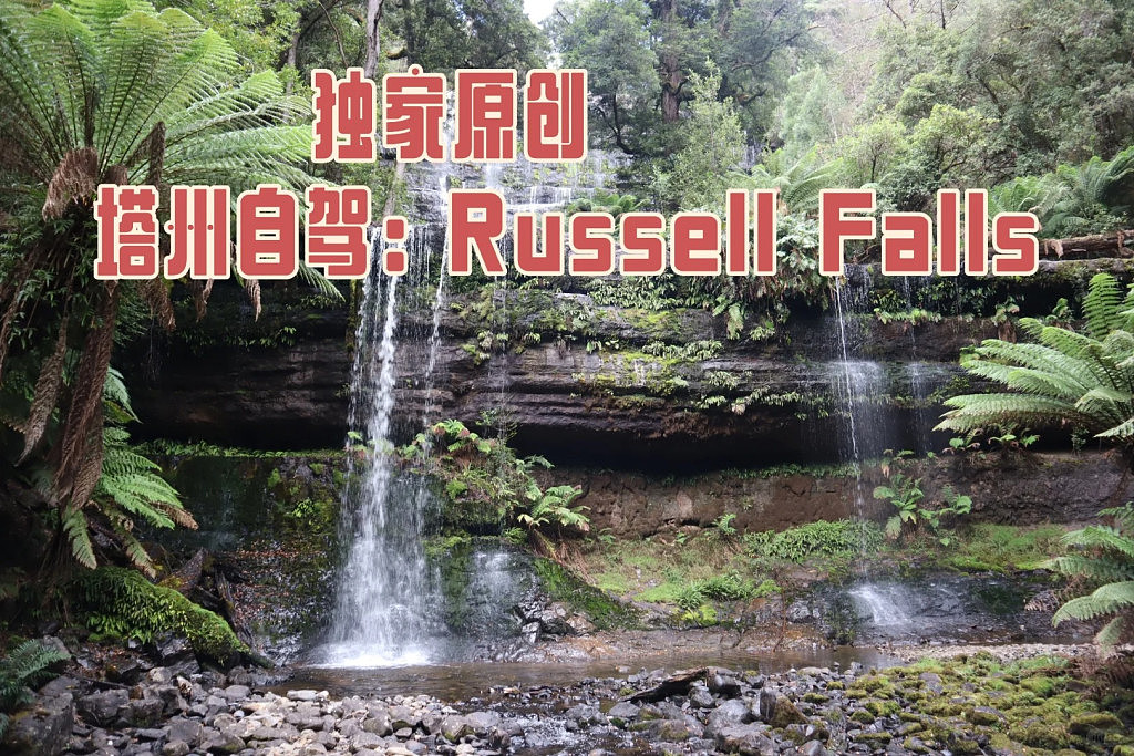 独家原创:塔州自驾游:Russell Falls(组图) - 1