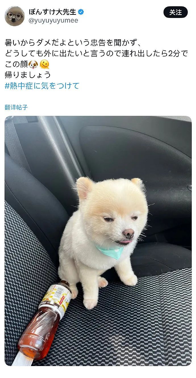 【爆笑】海底捞能有多大胆?吃个火锅还能摸帅哥腹肌?网友崩溃:场面一度失控(组图) - 40