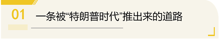 特朗普正把大批中国留学生“赶入”中亚：在XXX斯坦留学是怎样体验？（组图） - 5