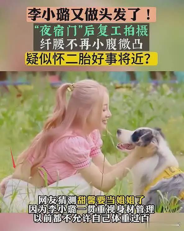 李小璐二胎风波再添新料,被质疑国外代孕,更多细节被扒(组图) - 4