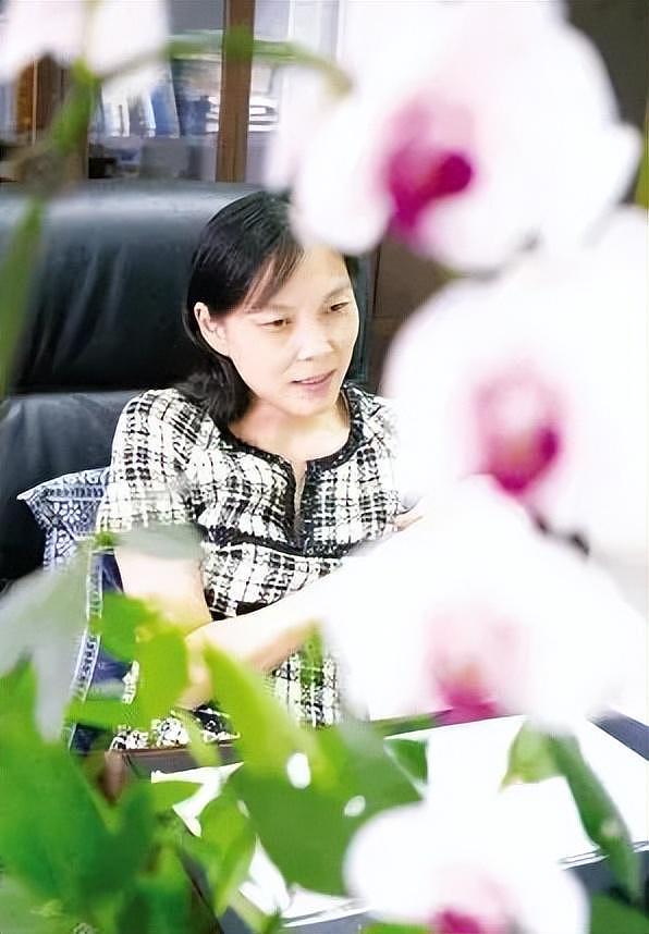 娃哈哈杜建英美国秘密生子28年!陪读是假,转移百亿资产是真?(组图) - 18