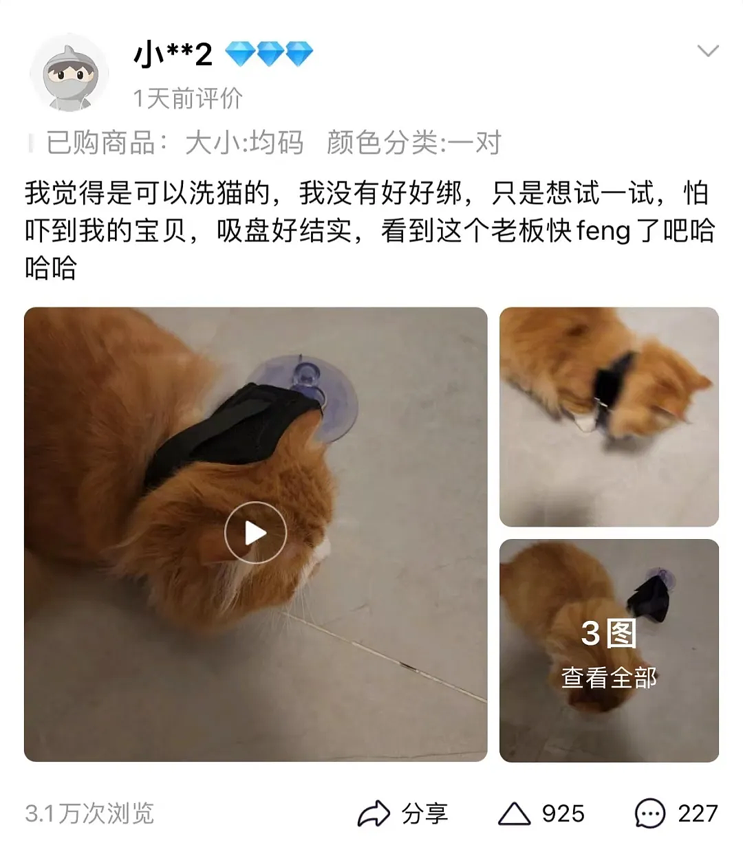 【宠物】果篮老板提醒“这不是猫窝哦”，网友不信偏要买，到手后差点笑晕...猫：喂我花生（组图） - 14