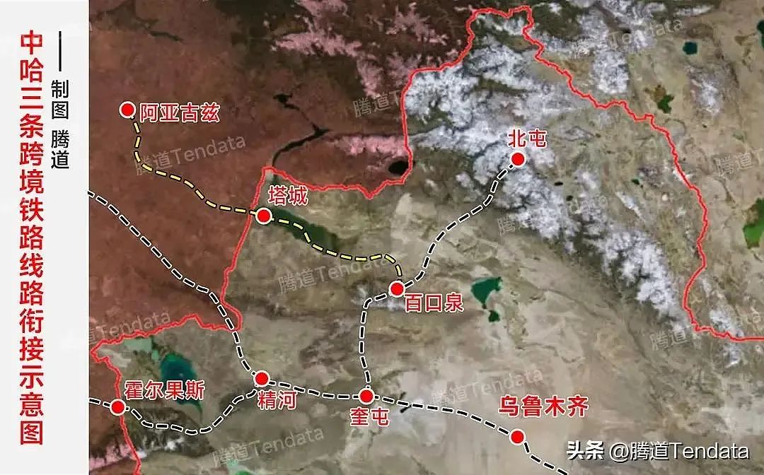 特朗普正把大批中国留学生“赶入”中亚：在XXX斯坦留学是怎样体验？（组图） - 9