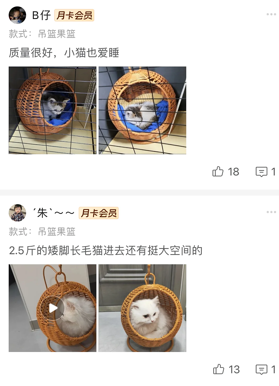 【宠物】果篮老板提醒“这不是猫窝哦”，网友不信偏要买，到手后差点笑晕...猫：喂我花生（组图） - 5