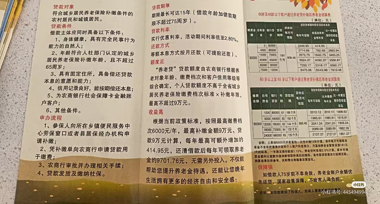 中国“养老贷”：目的是养老，还是还债？（组图） - 2