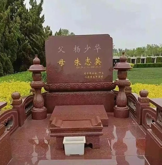杨少华骨灰正式下葬!与妻子合葬,杨议打伞惹争议,刺青男再现身(组图) - 4