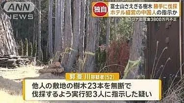 富士山开酒店乱砍邻居树，中国籍男子出庭求饶：我们全家想取得日本国籍（组图） - 7