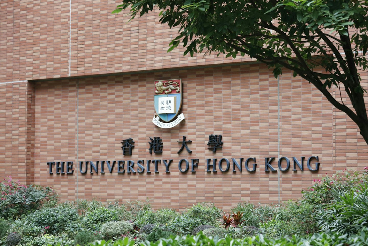 港大男生用AI制作700多张同学不雅照，校方回应（组图） - 2
