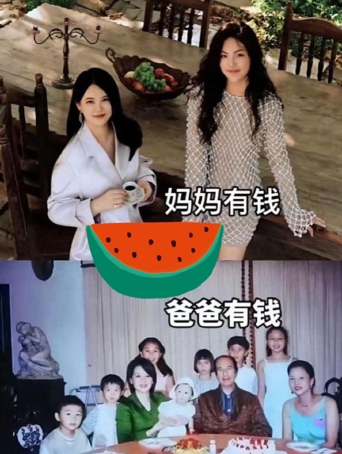当代“豪门恩怨遗产纷争”上演，或许这就是长公主不婚的真相（组图） - 3