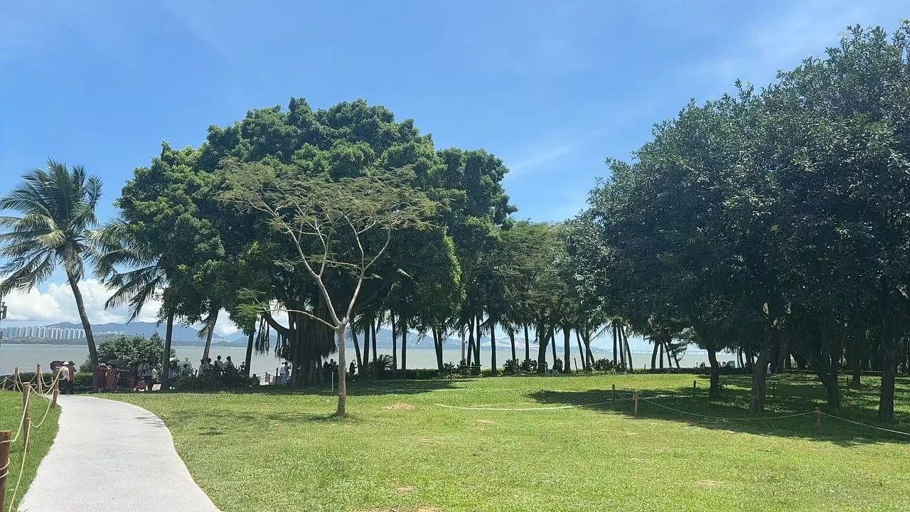 读完985大学,我们成了“高学历废物”(组图) - 18