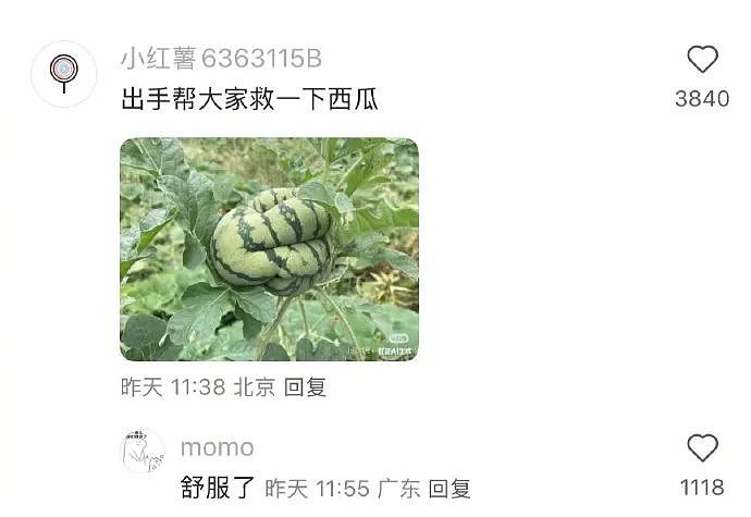 【爆笑】男朋友出差发来的酒店照片正常么？？网友傻眼：一个人用那么多纸巾？（组图） - 31