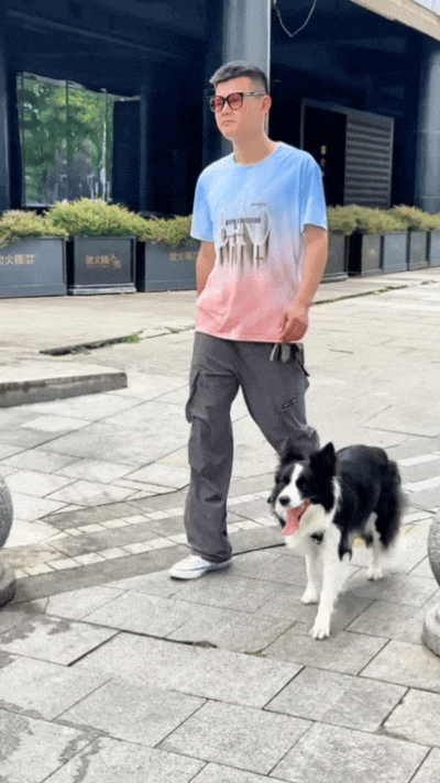 【宠物】主人带狗子去超市遛弯没牵绳，凑近后发现狗子原来是持证上岗，网友：这真喷不了（组图） - 4