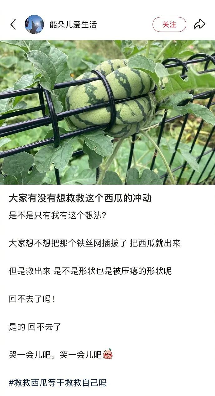 【爆笑】男朋友出差发来的酒店照片正常么？？网友傻眼：一个人用那么多纸巾？（组图） - 25
