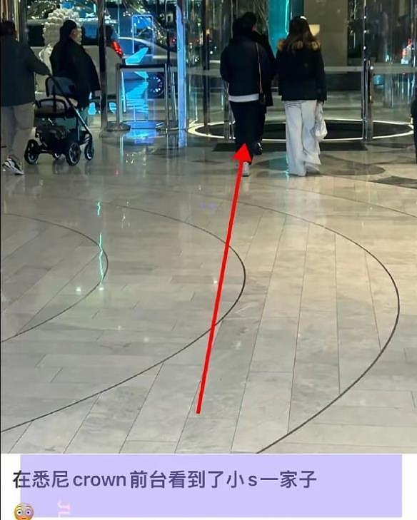 小S一家到悉尼度假被偶遇！S妈心灵受重创，不敢再跟家人海外旅行（组图） - 6