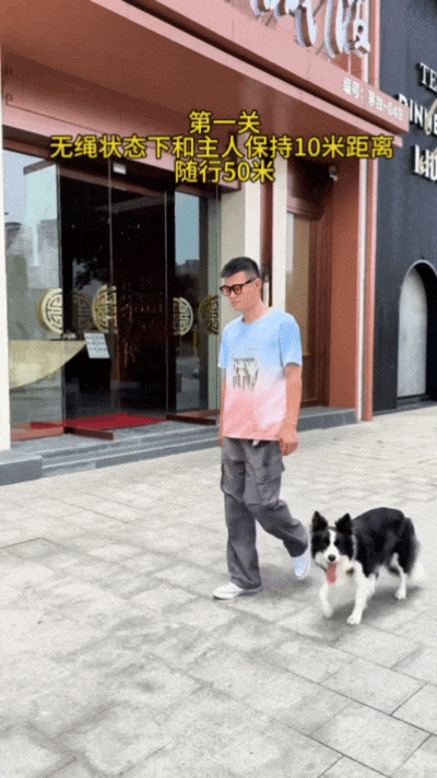 【宠物】主人带狗子去超市遛弯没牵绳，凑近后发现狗子原来是持证上岗，网友：这真喷不了（组图） - 3