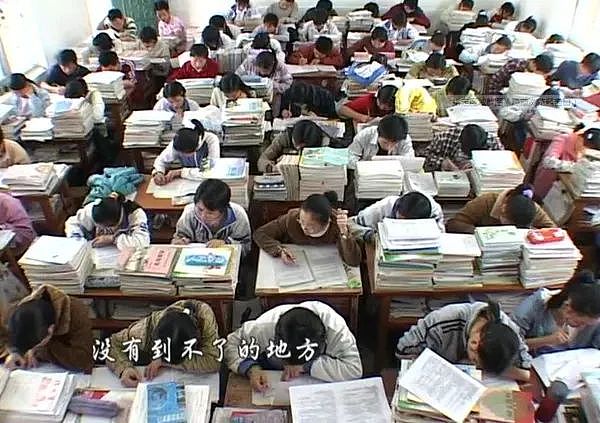 读完985大学,我们成了“高学历废物”(组图) - 4