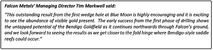 Falcon Metals Ltd (ASX:FAL)暴涨97%:Blue Moon首个楔形孔钻得543克/吨超高品位黄金矿块 - 3
