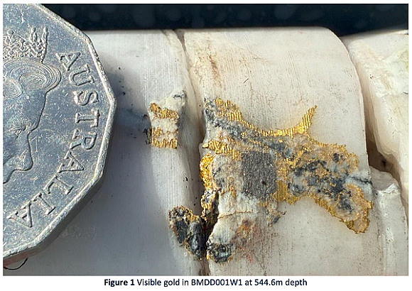 Falcon Metals Ltd (ASX:FAL)暴涨97%:Blue Moon首个楔形孔钻得543克/吨超高品位黄金矿块 - 4