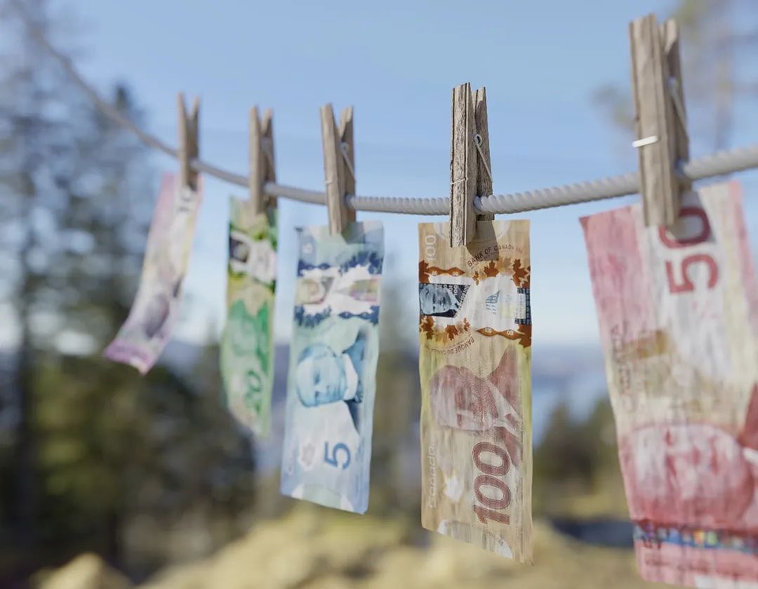 华裔涉洗钱$2.2亿买房!BC政府没收名下豪宅,地下钱庄黑幕曝光(组图) - 6