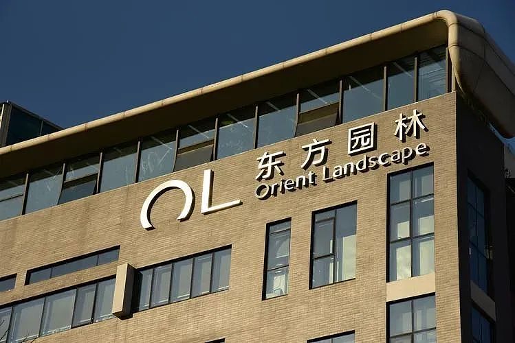 捐15亿保护美国动物，拖欠国内员工半年工资，浙江女首富栽得不冤（组图） - 5