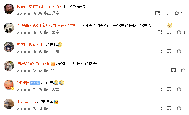 【爆笑】巴黎世家1.5w的烤鸭包？网友无语：是有钱人的显眼包（组图） - 5