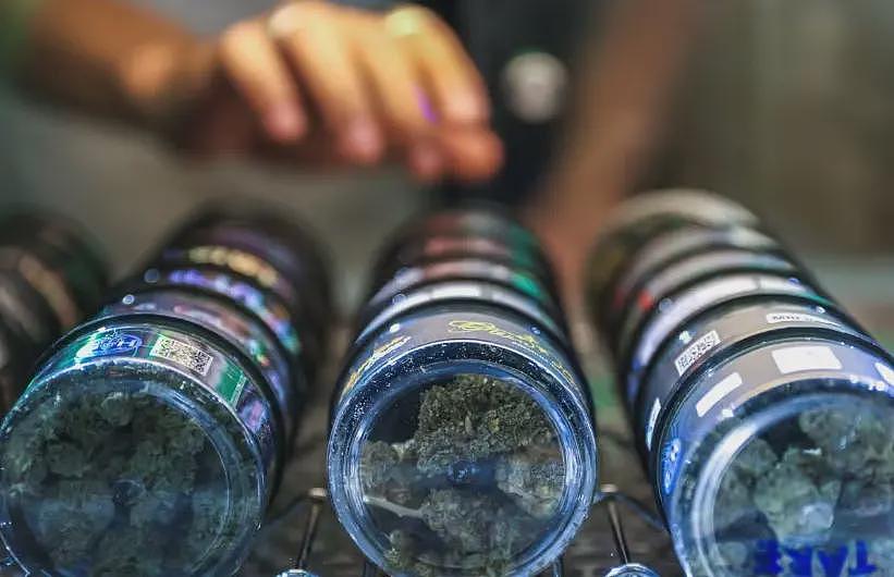千亿产业崩塌夜:泰国医生处方杀死大麻经济?(组图) - 5