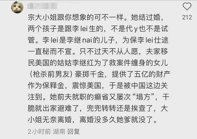 曝宗馥莉在美国生下龙凤胎,孩子已6岁,已离婚,前夫身份不一般(组图) - 8