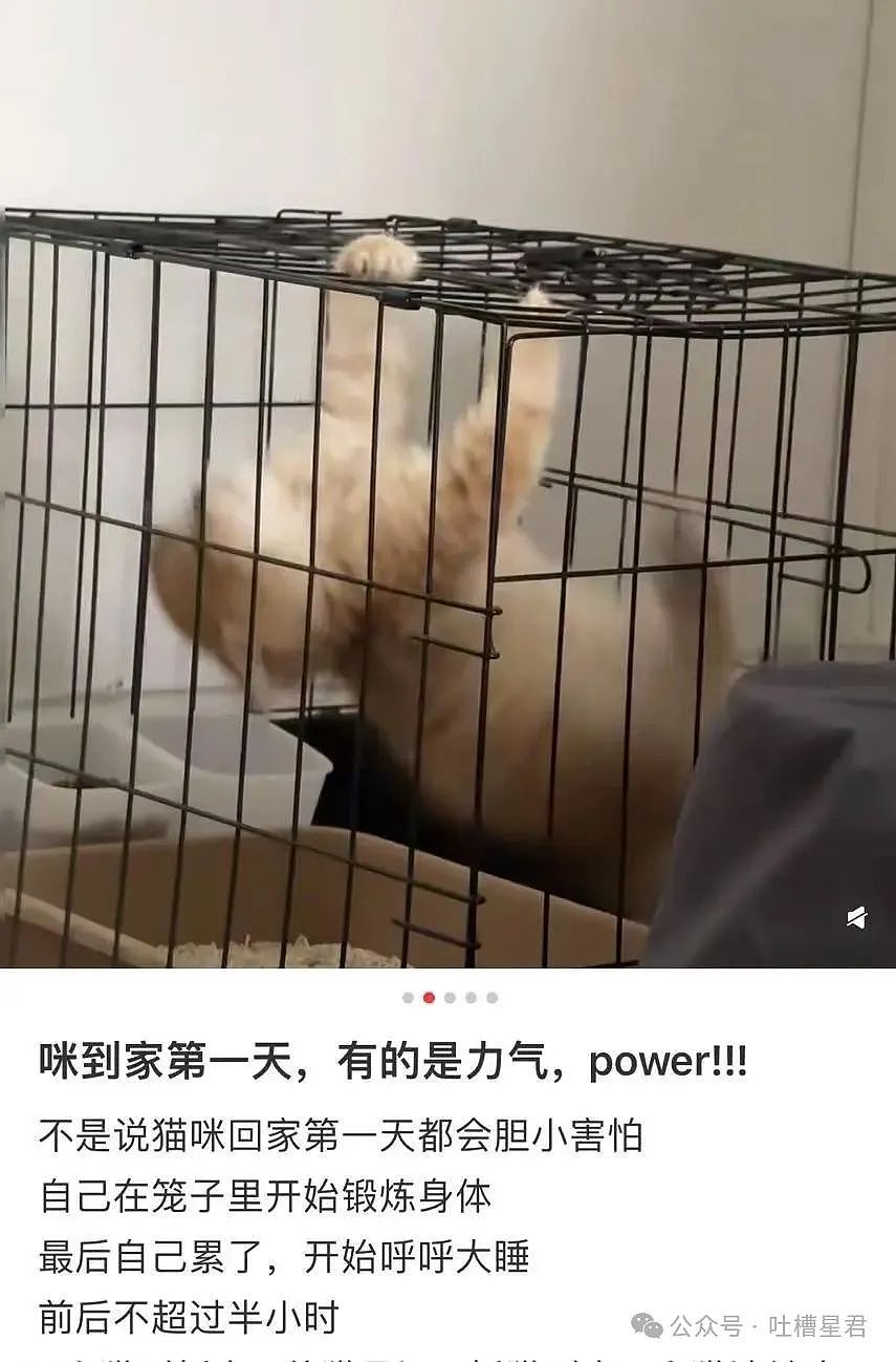 【爆笑】面试被问八字和洗澡顺序…？啊啊啊这是什么清朝公司（组图） - 22