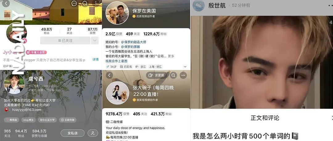 网红第一步是留学？留学博主一年赚百万？真上学还是真圈钱...（组图） - 1