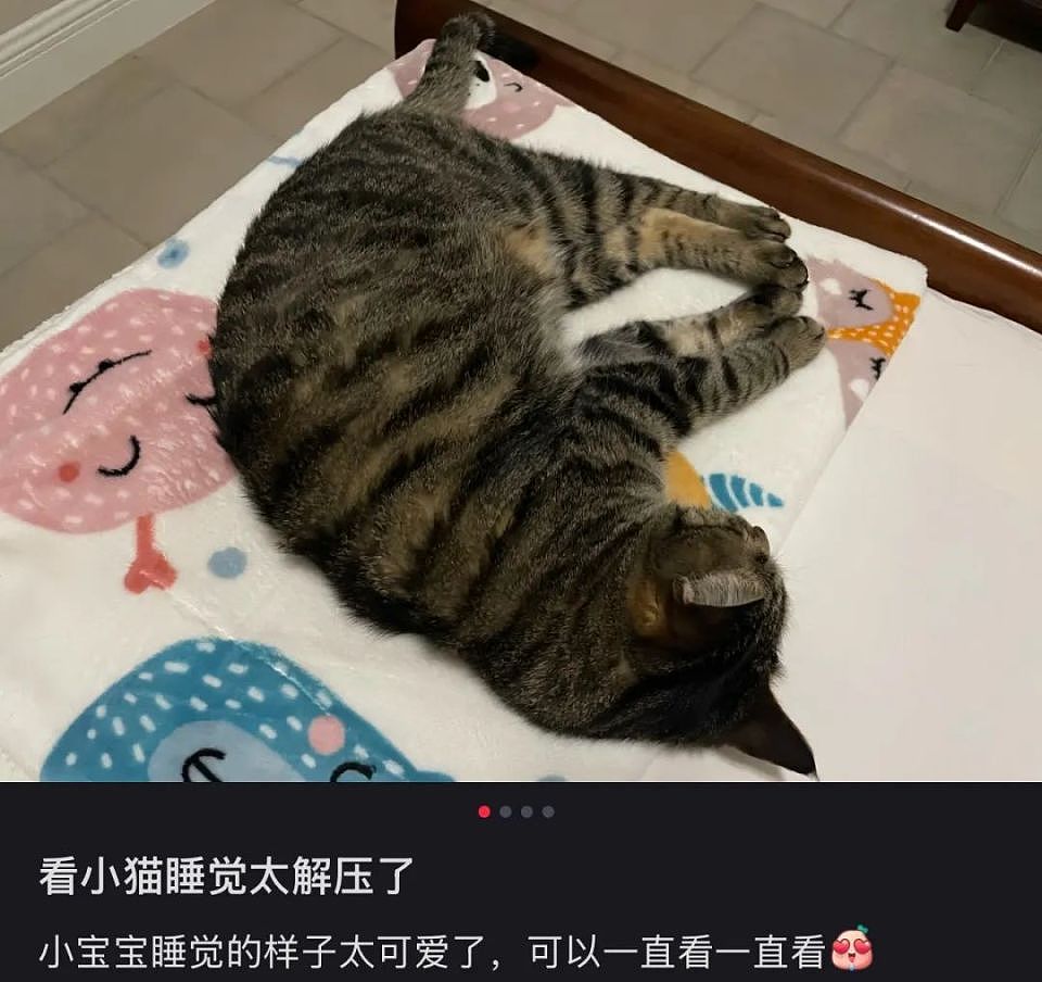 穷鬼乐园三件套,被中产疯抢?(组图) - 19