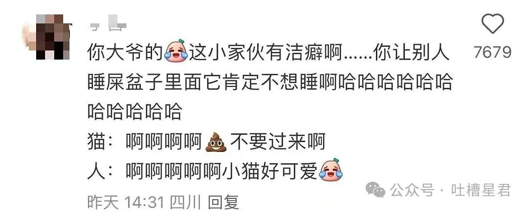 【爆笑】面试被问八字和洗澡顺序…？啊啊啊这是什么清朝公司（组图） - 24