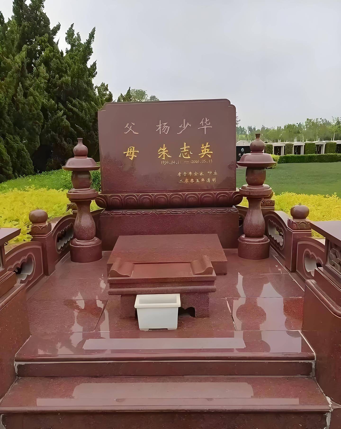 杨议在父亲灵堂差点晕倒！他曾被曝遭女儿扇耳光（组图） - 4