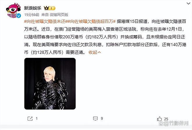 港媒曝向佐欠赌债140万，遭何超琼公司起诉，曾多次陷追债丑闻（组图） - 3