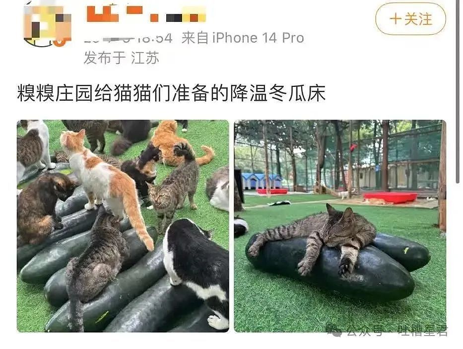 【爆笑】面试被问八字和洗澡顺序…？啊啊啊这是什么清朝公司（组图） - 42