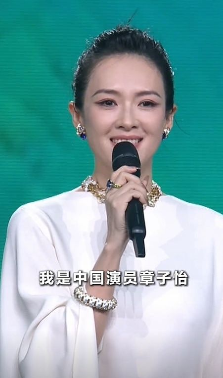 人民大会堂镜头下的明星，陈道明老了，吴京像野人，章子怡太惊艳（组图） - 13