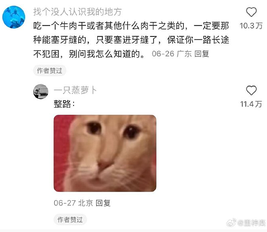 【爆笑】巴黎世家1.5w的烤鸭包？网友无语：是有钱人的显眼包（组图） - 39