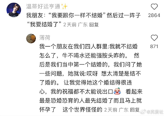 【爆笑】巴黎世家1.5w的烤鸭包？网友无语：是有钱人的显眼包（组图） - 32