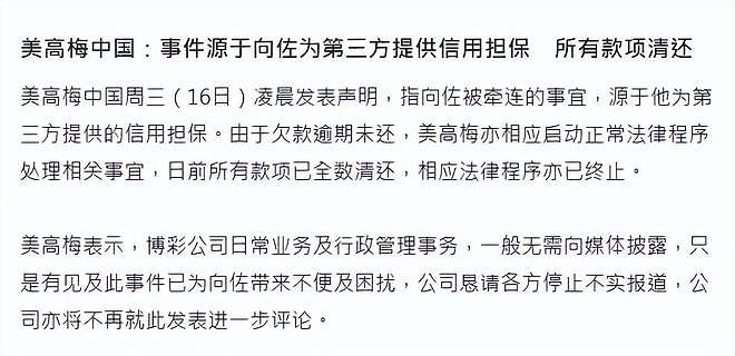 反转！美高梅称向佐已还清140万，否认其参与赌博：为第三方担保（组图） - 2