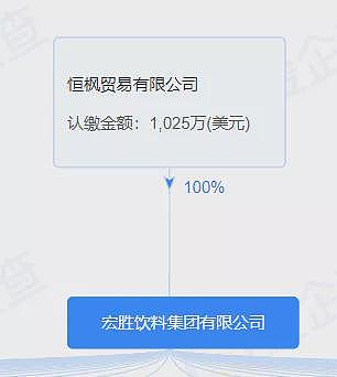 比起三个美籍孩子， 宗家百亿境外资产更值得关注（组图） - 4