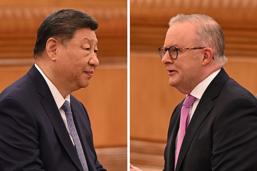 阿尔巴尼斯会晤习近平：澳方提出杨恒均问题，中方未提达尔文港（视频/图） - 1
