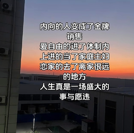 【爆笑】巴黎世家1.5w的烤鸭包？网友无语：是有钱人的显眼包（组图） - 11
