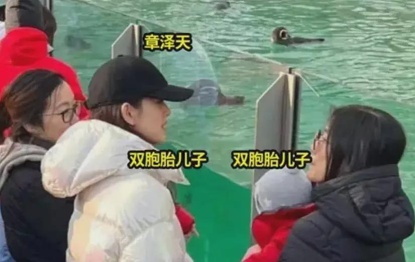 宗家争产事件牵连刘强东,男方被曝不止3个儿子,章泽天评论区沦陷(组图) - 4