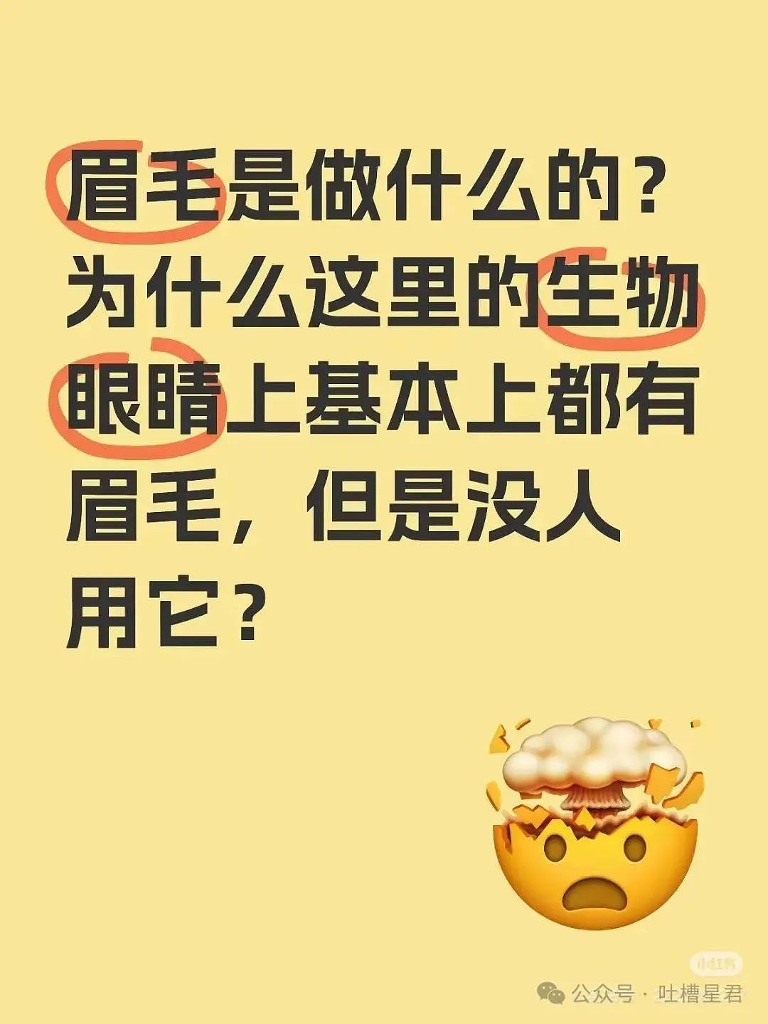 【爆笑】面试被问八字和洗澡顺序…？啊啊啊这是什么清朝公司（组图） - 34