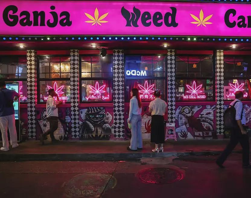 千亿产业崩塌夜:泰国医生处方杀死大麻经济?(组图) - 1