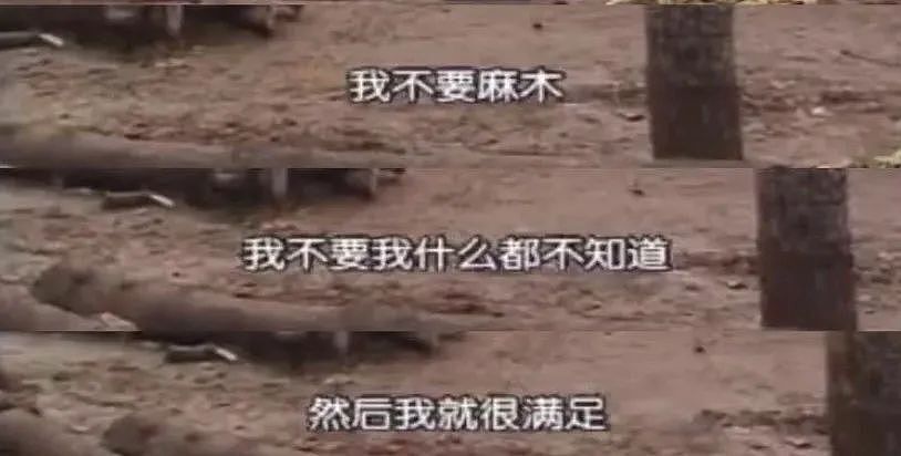 穷鬼乐园三件套,被中产疯抢?(组图) - 22