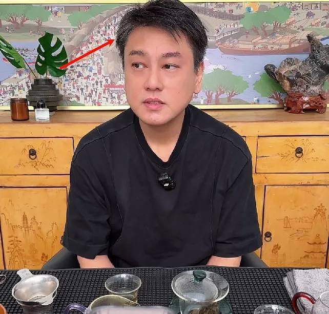朱孝天自曝患病!同意F4合体是怕以后没机会(组图) - 13